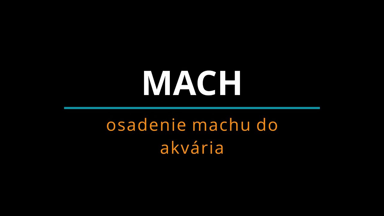 Mach - osadenie machu do akvária