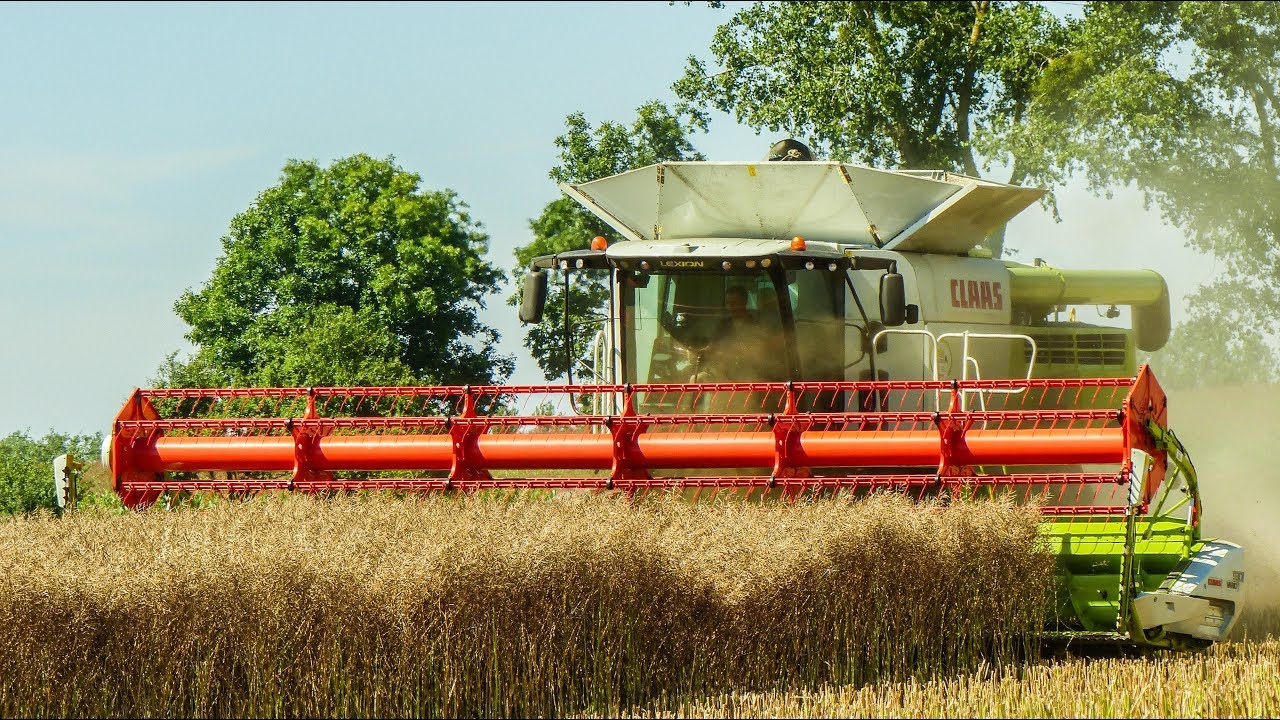 Żniwa 2017! 2x CLAAS, Lexion 780! AgroGarrison