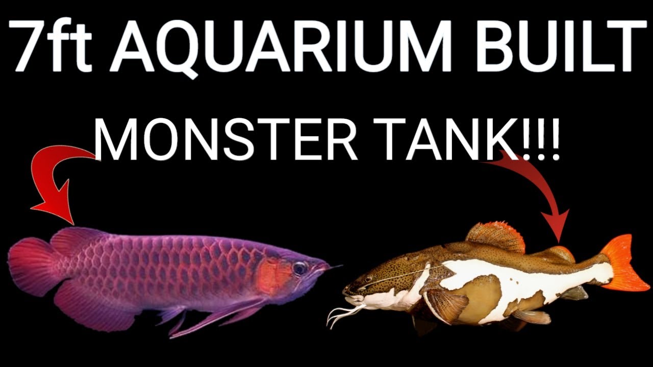 7ft by 2ft MONSTER AQUARIUM SERIES  250 GALLON AQUARIUM BUILT UP