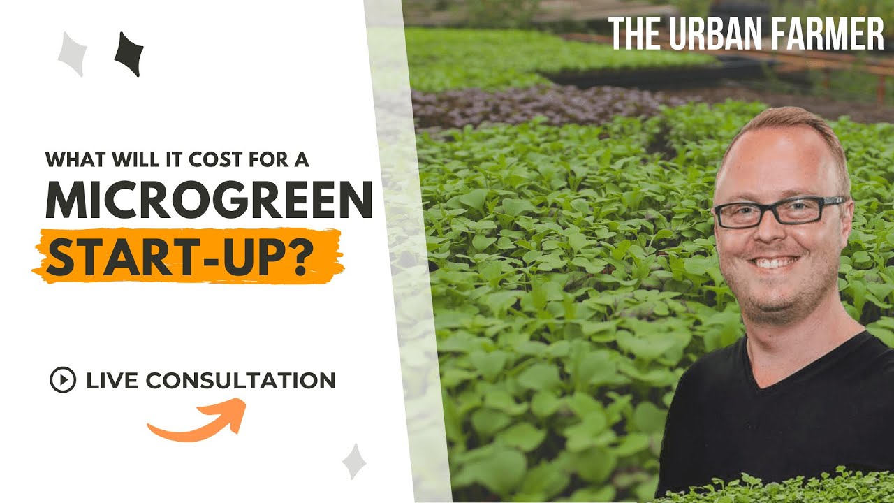 What Will It Cost For A Microgreen Start-Up ? - LIVE CONSULTATION [LISTEN IN]