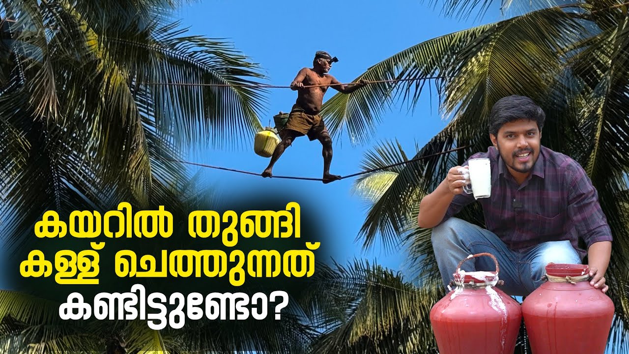 ജീവൻ പണയം വച്ച് കള്ള് ചെത്തുന്നത് കണ്ടിട്ടുണ്ടോ |  Pandi Chethu | Toddy tapping in kerala | Chittur
