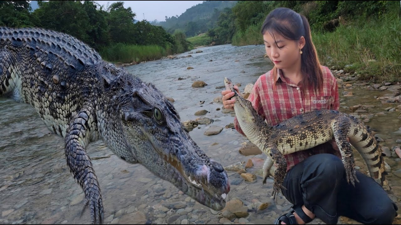 Vietnamese girl goes fishing for a living with two smart dogs and encounters an ugly, ferocious fish