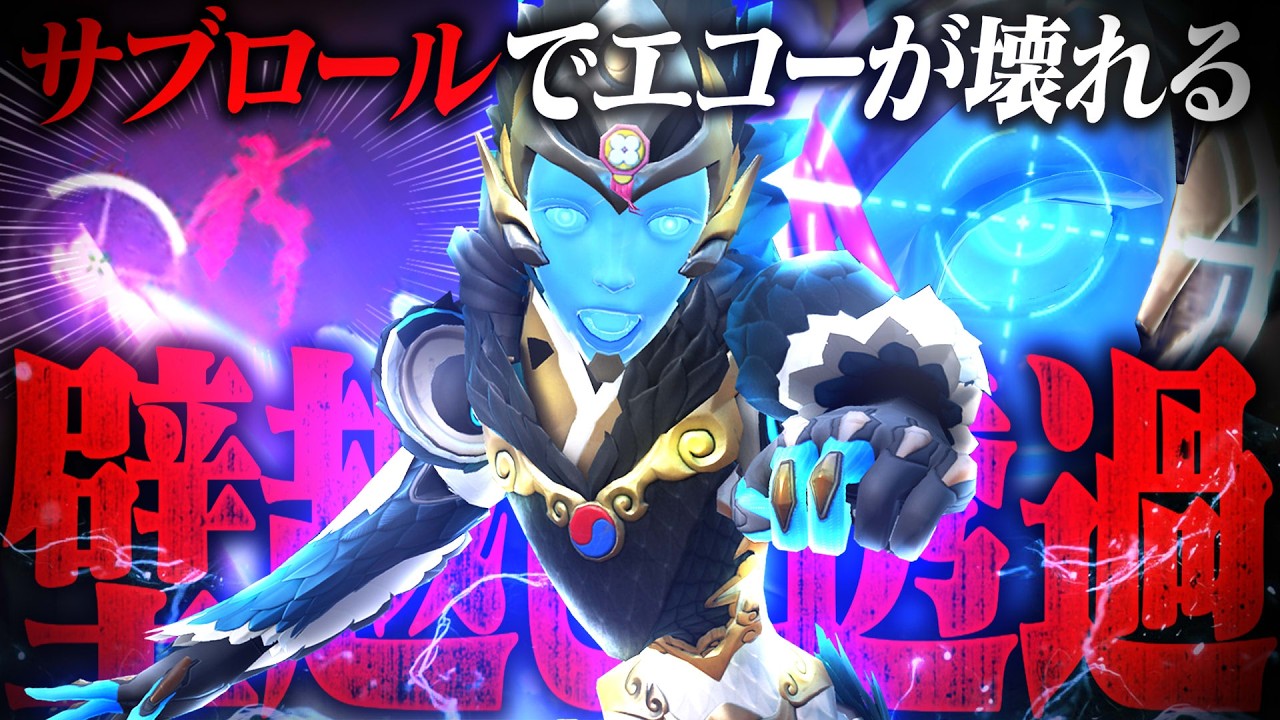 【これ大丈夫?】サブロール追加でエコーが壊れてしまった件【オーバーウォッチ2】