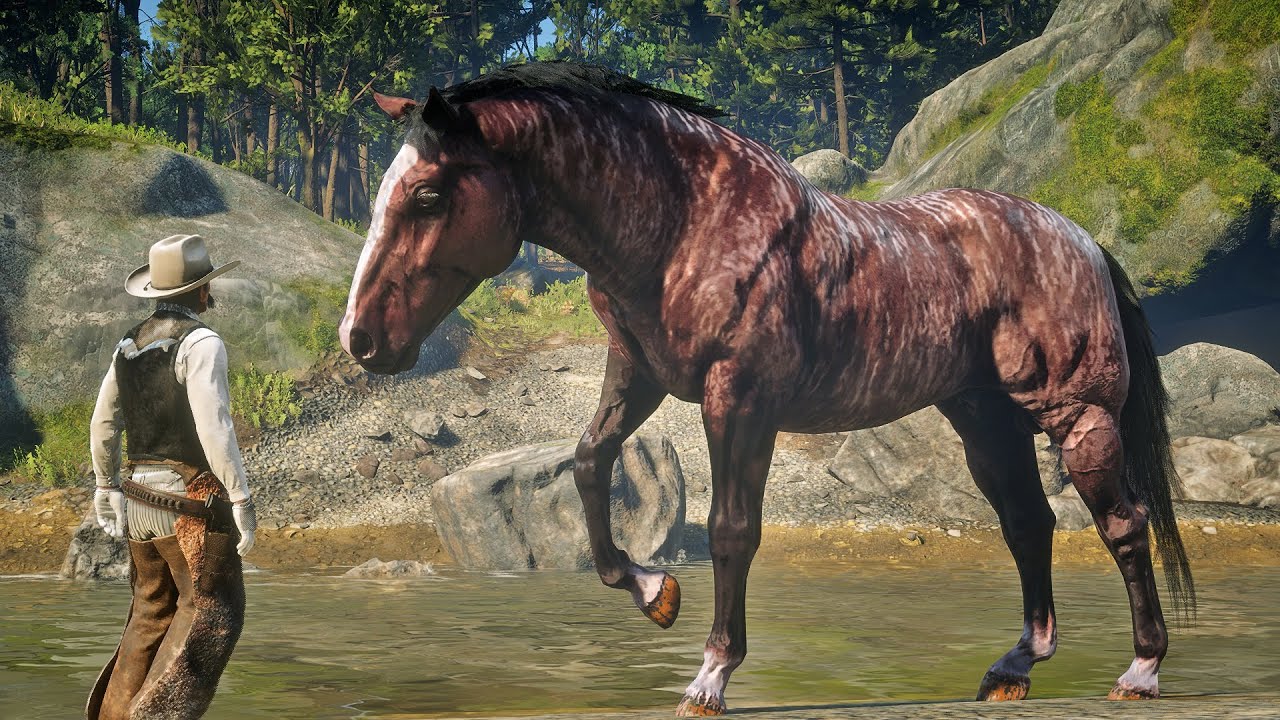 John Marston Tames Huge Criollo Brindle Horse at Dakota River | RDR2