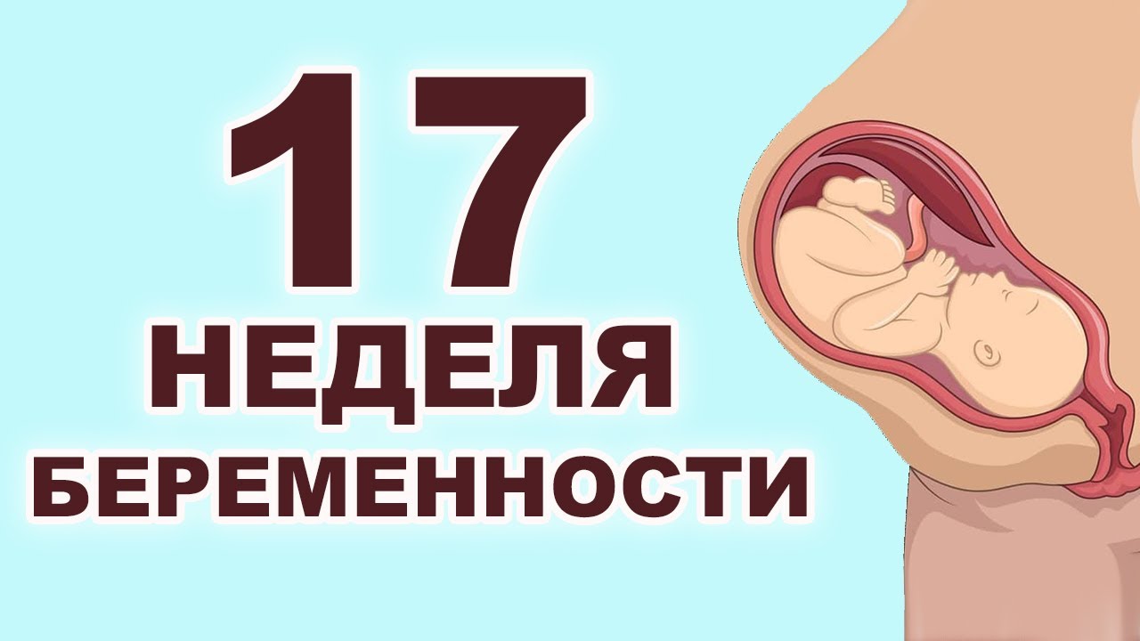 Что происходит с мамой и ребенком на 17 неделе беременности? 4 месяц беременности. Второй триместр.