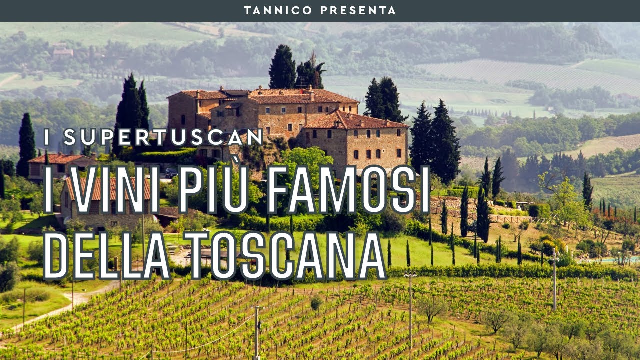 Cosa sono e da dove vengono i vini più famosi della Toscana | Tannico Flying School