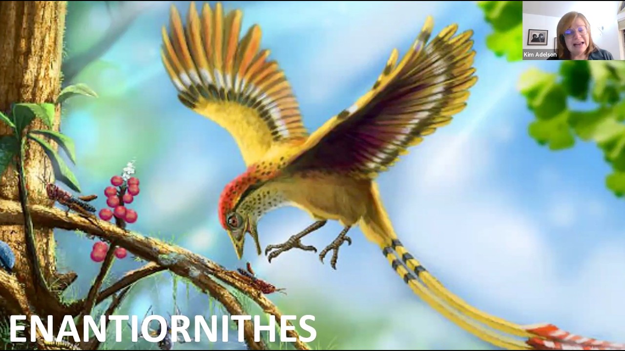 The Dinosaurs Amongst Us with Kim Adelson, PhD