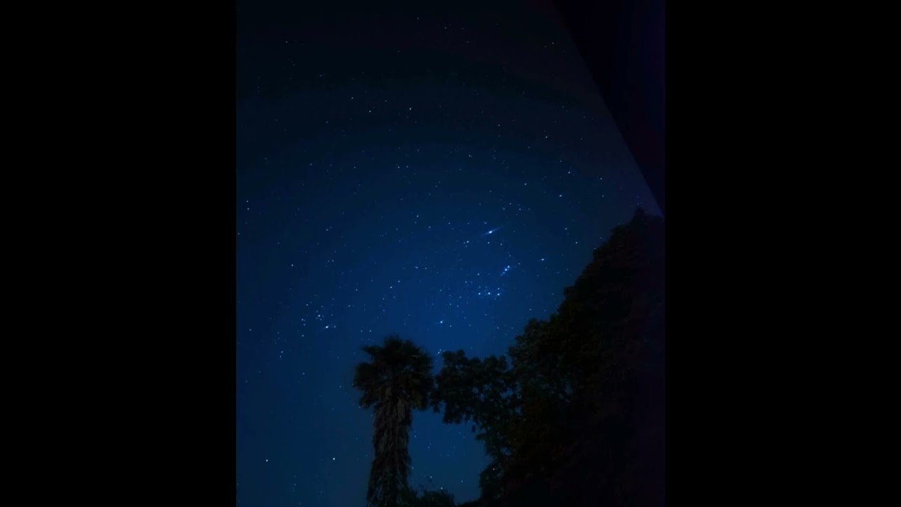 Estrellas en el campo - Waldembiro 