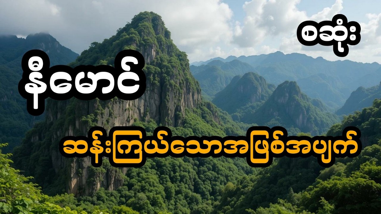နီမောင် ပါဝင်သော ဆန်းကြယ်သောအဖြစ်အပျက် (အစအဆုံး)