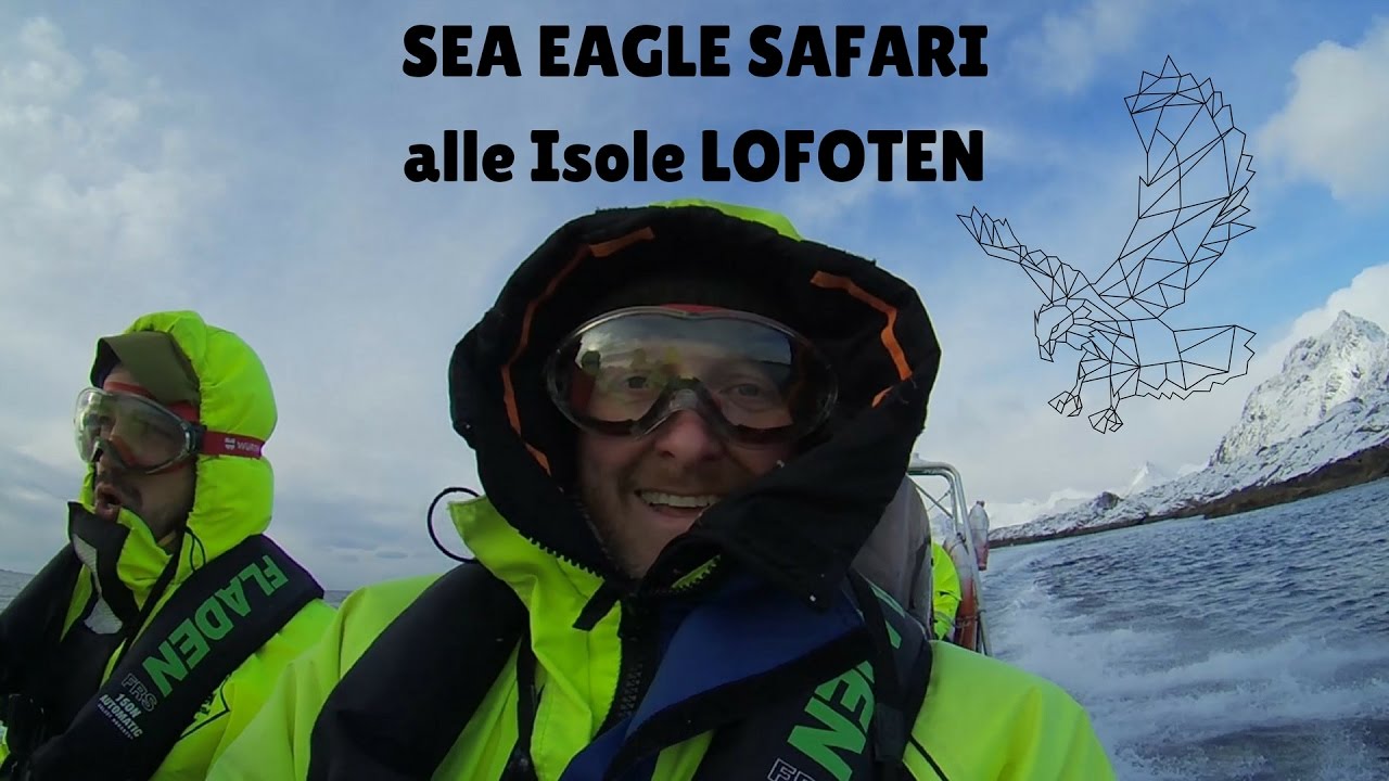 Sea eagle safari a Svolvaer, alle Isole Lofoten - Norvegia del Nord