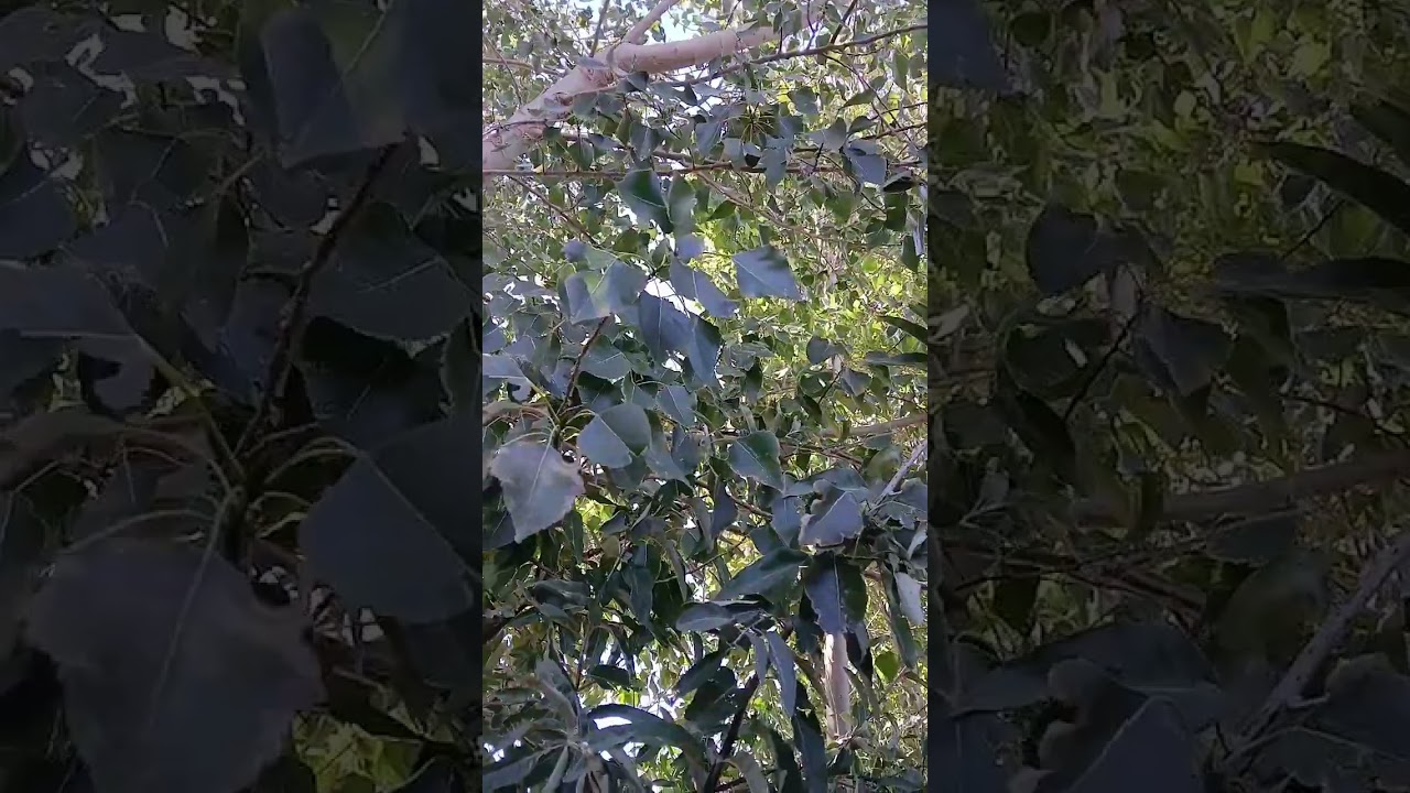 Dios siempre está 😀😃