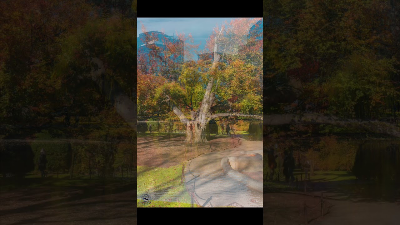 Boston Garden Photography Walk | Part 3