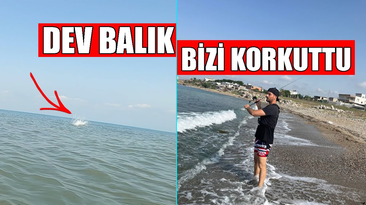 Dev Balık Bizi Çok Korkuttu / LRF At Çek Kıyı Balık Avı Adana Yumurtalık