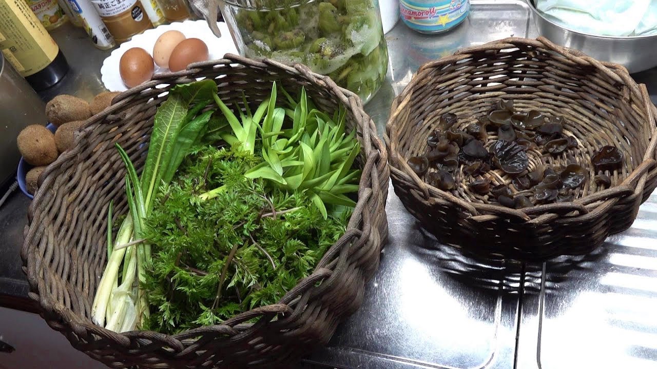 真冬の山菜採り