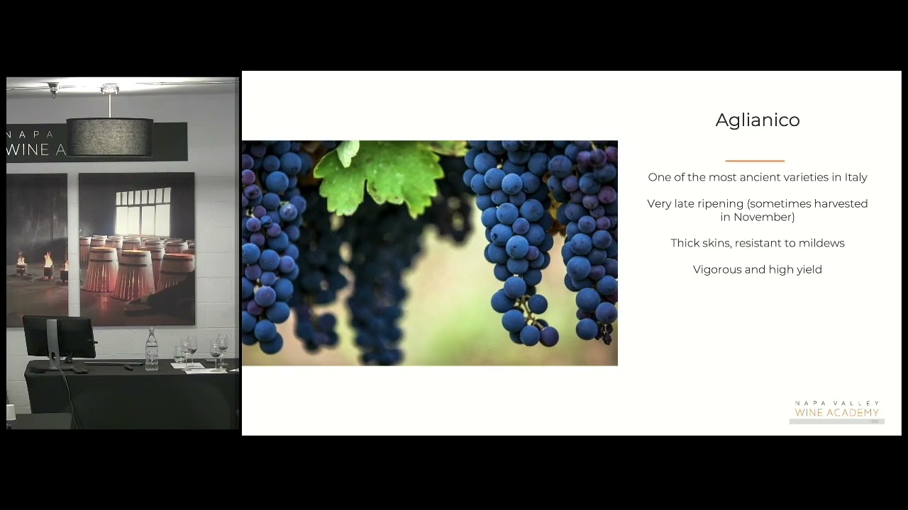 Southern Italy grape varieties: Aglianico - Discover Southern Italy - Napa Valley Wine Academy