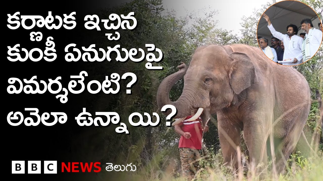Karnataka నుంచి Pawan Kalyan స్వీకరించిన కుంకీ ఏనుగులపై విమర్శలేంటి? ఆ Elephants ఇప్పుడెలా ఉన్నాయి?