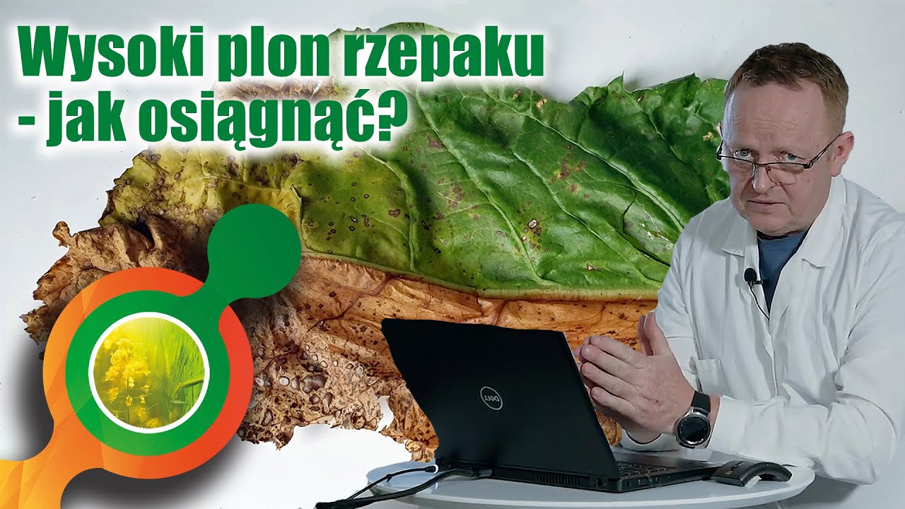 Jak osiągnąć wysoki plon rzepaku ozimego? Wiosna 2021 na start A.Brachaczek