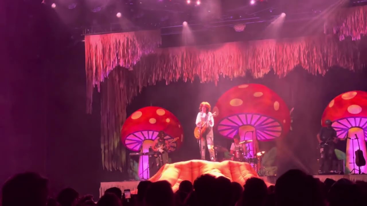 pigeon by cavetown live vancouver 06/15/24