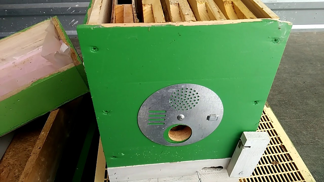 Nucleu 2 urdinise