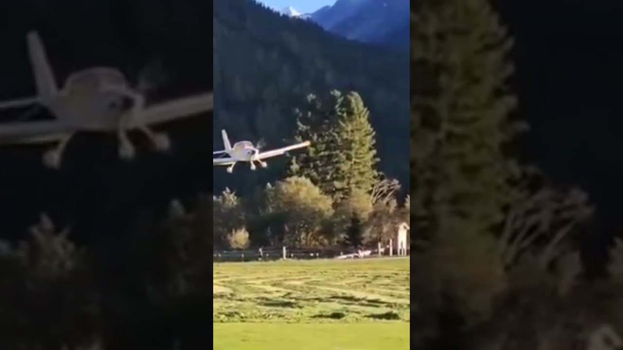 Viper Landung nach Schlepp #modellflug #hangflug #hangglider #rcplane