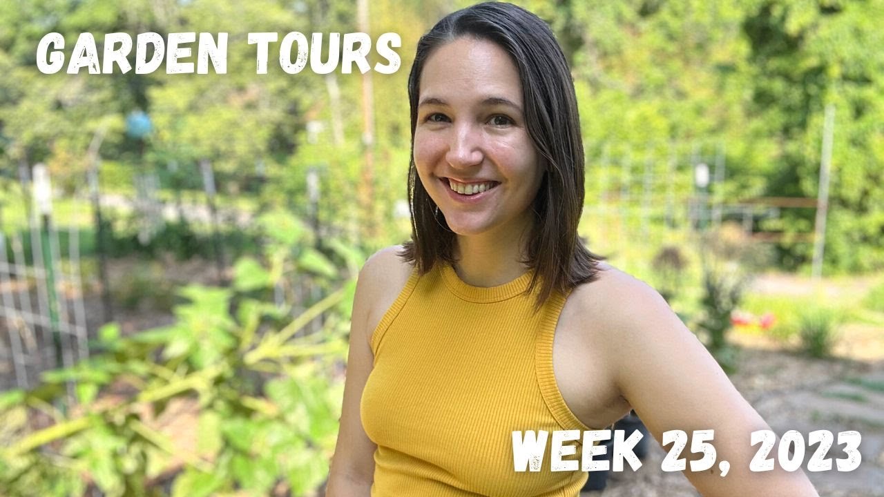 Sunny again in South Carolina | Garden Tour WEEK 25, 2023