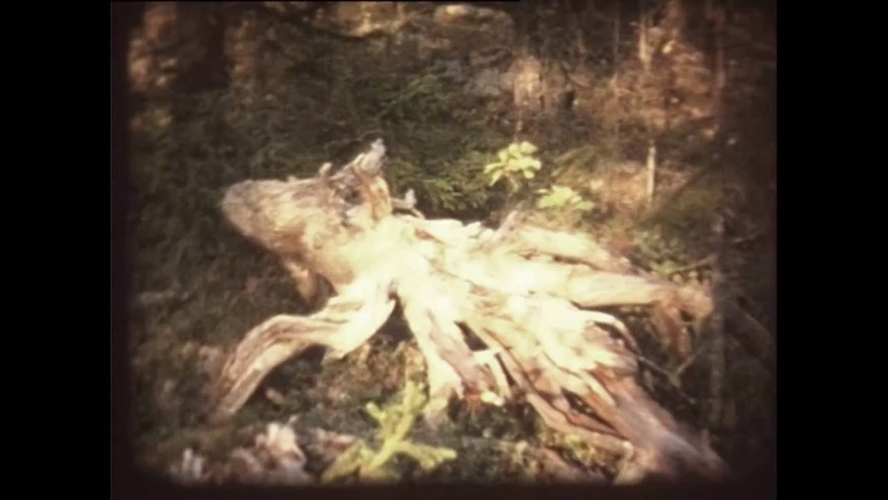 Moloken - Beginning Of The End (Official Video)