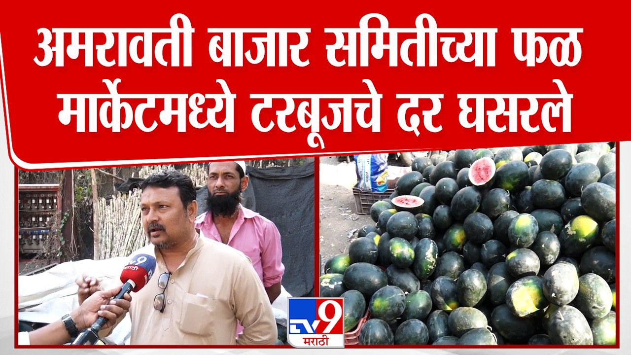 Amravati Market Fruit Prise | अमरावती कृषी उत्पन्न बाजार समितीच्या फळ मार्केटमध्ये टरबूजचे दर घसरले