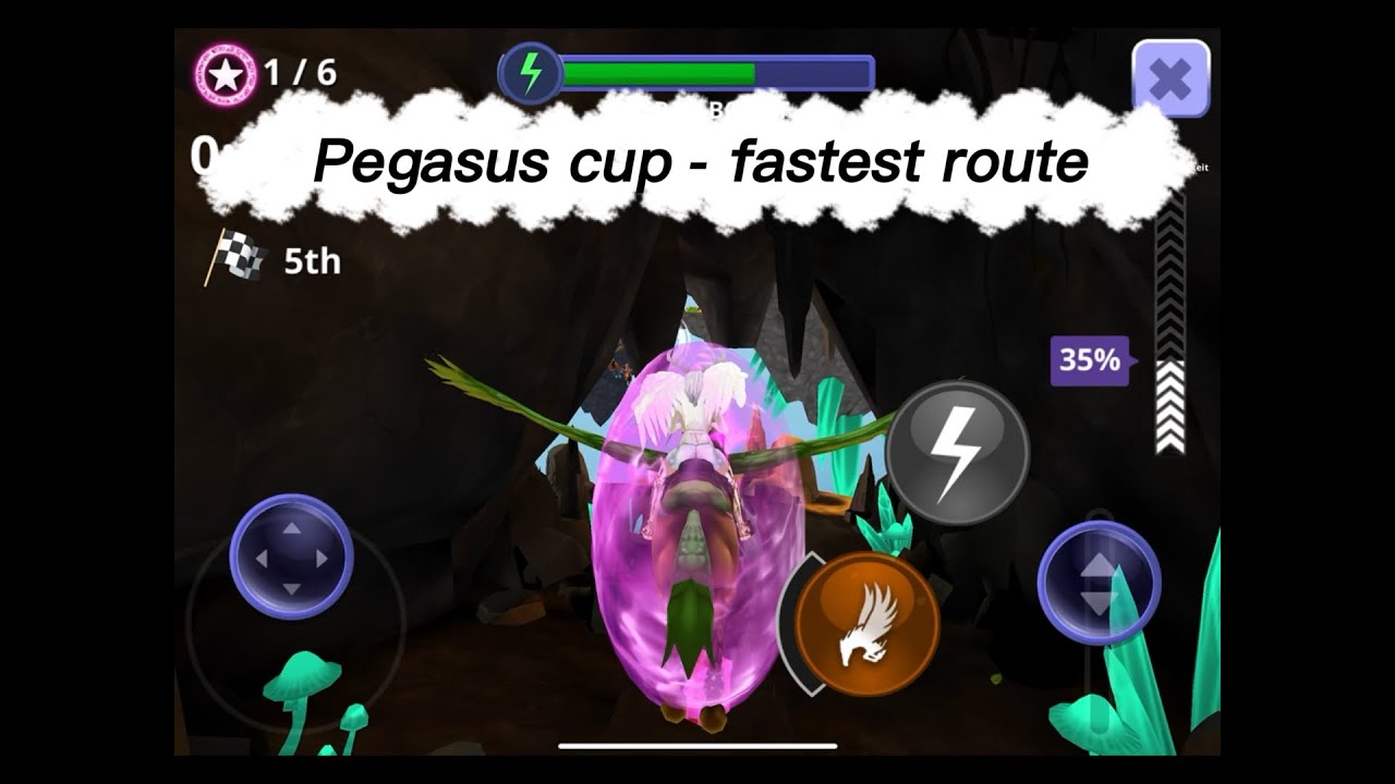 Pegasus cup - fastest route 🏁, „Beautiful life“ / HRT