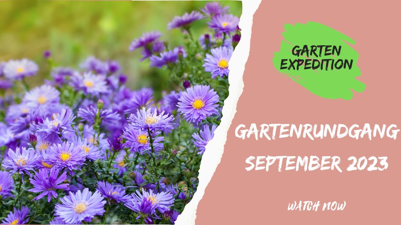Gartenrundgang September 2023 mit Erklärungen - naturnaher Garten - Gartenexpedition