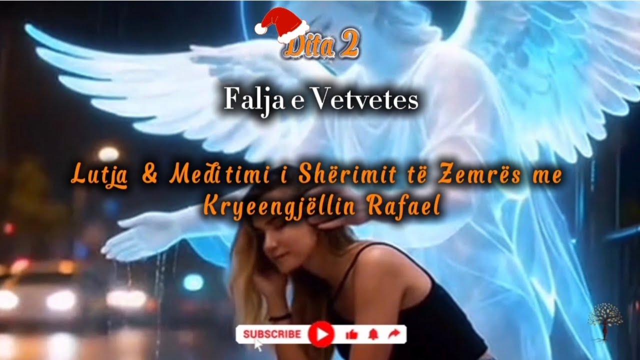 DITA 2 - FALJA E VETVETES