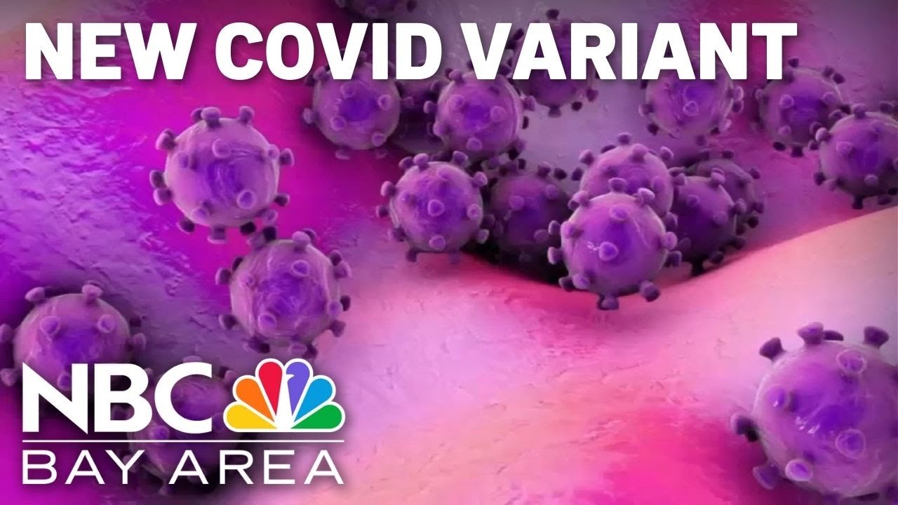 UCSF infectious disease specialist explains new COVID variants