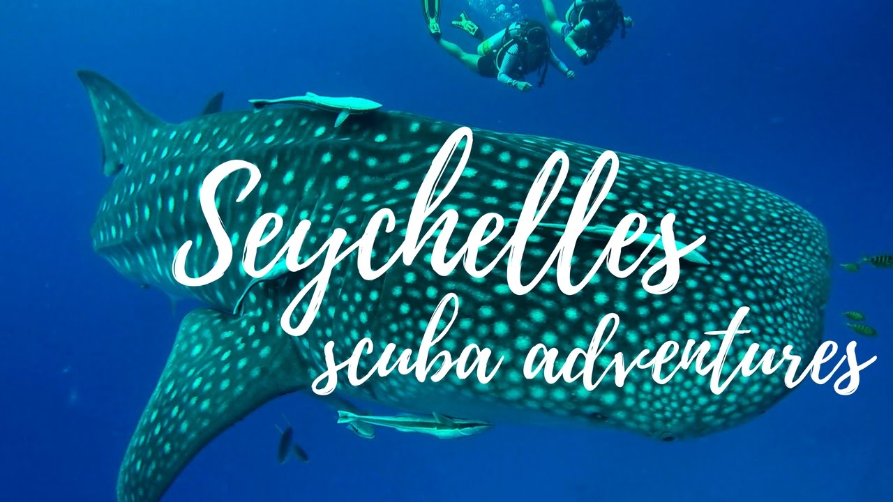 Diving the Seychelles