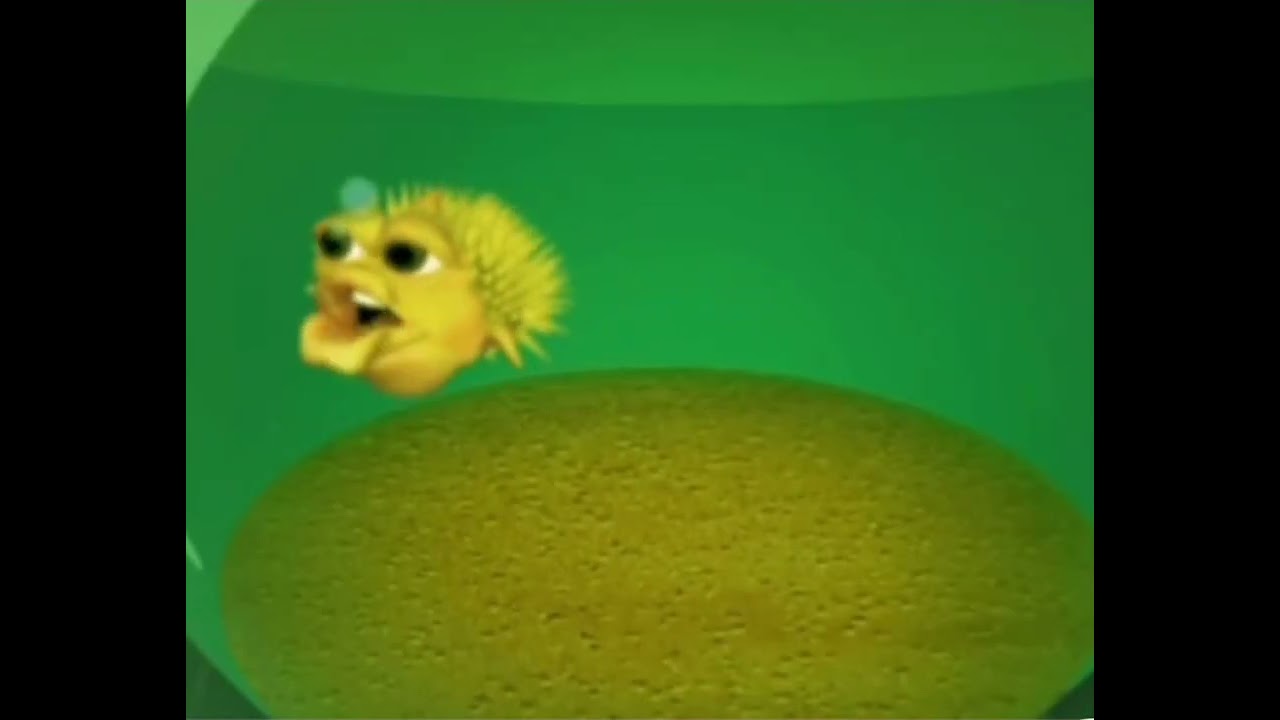 ra ta ta ta ta don t pee on the floor use the comedor fish