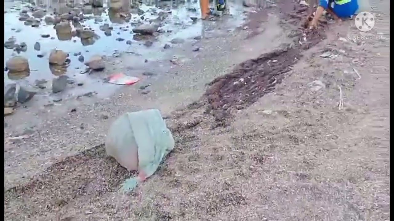 Update sa baseco beach jan 26 2022 time check-6:00.am