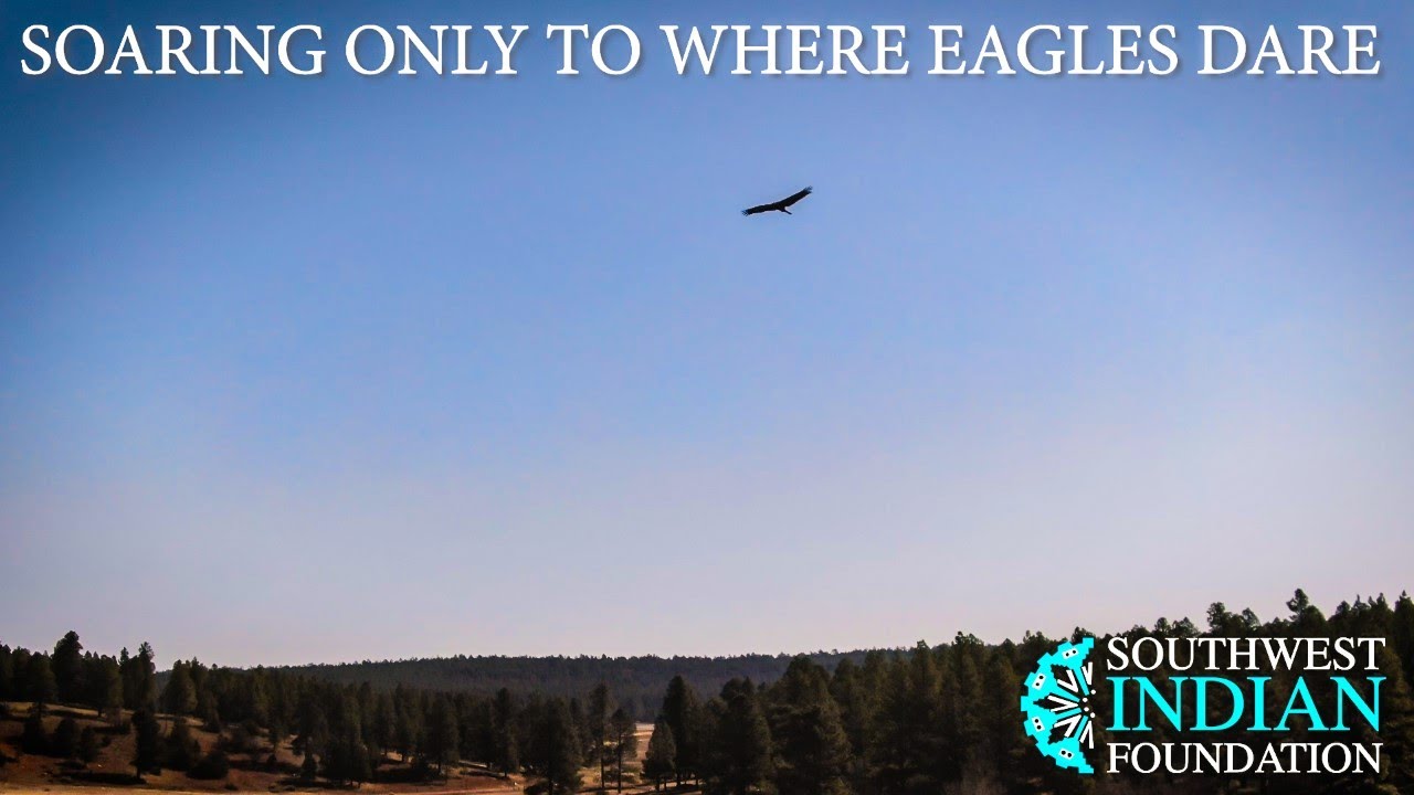 Soaring Only To Where Eagles Dare