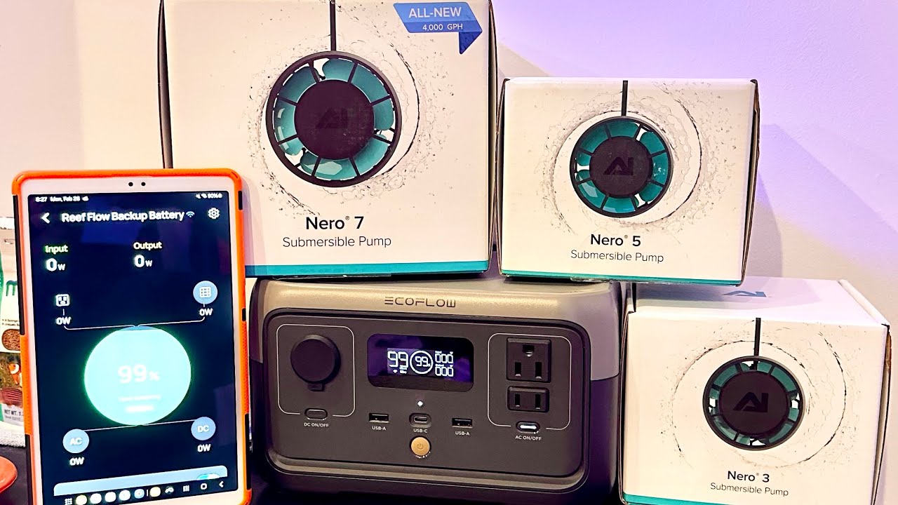 Life Support: Finally - A Legit Backup Battery For AI Nero & VorTech Wavemakers
