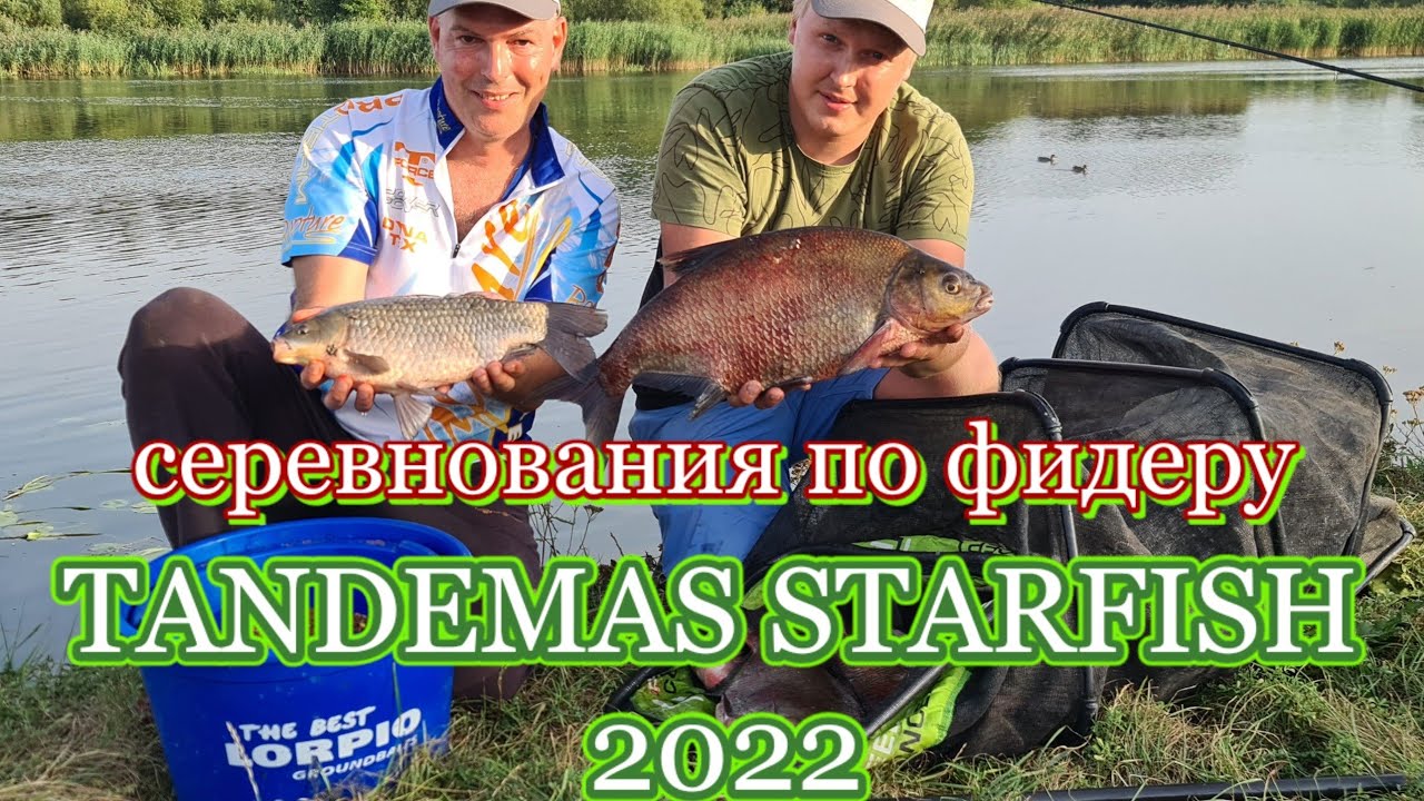 Соревнования по фидеру Tandemas Starfish 2022