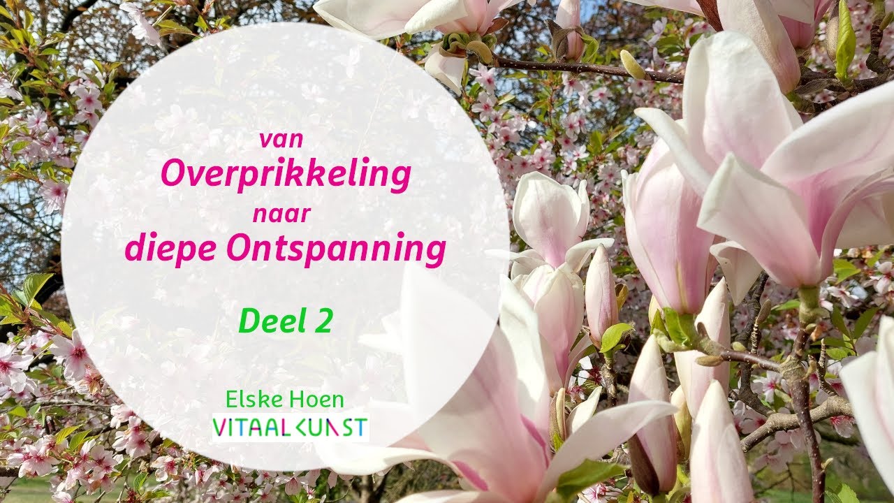 Van overprikkeling naar diepe ontspanning - deel 2 - vertragen