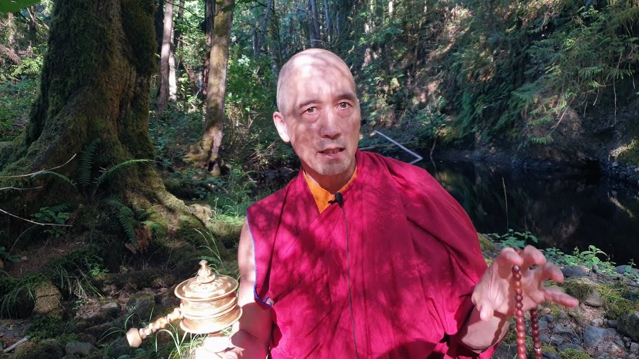 The Dog's Tooth! A story of awakening that came about from a mistaken object. #milarepa