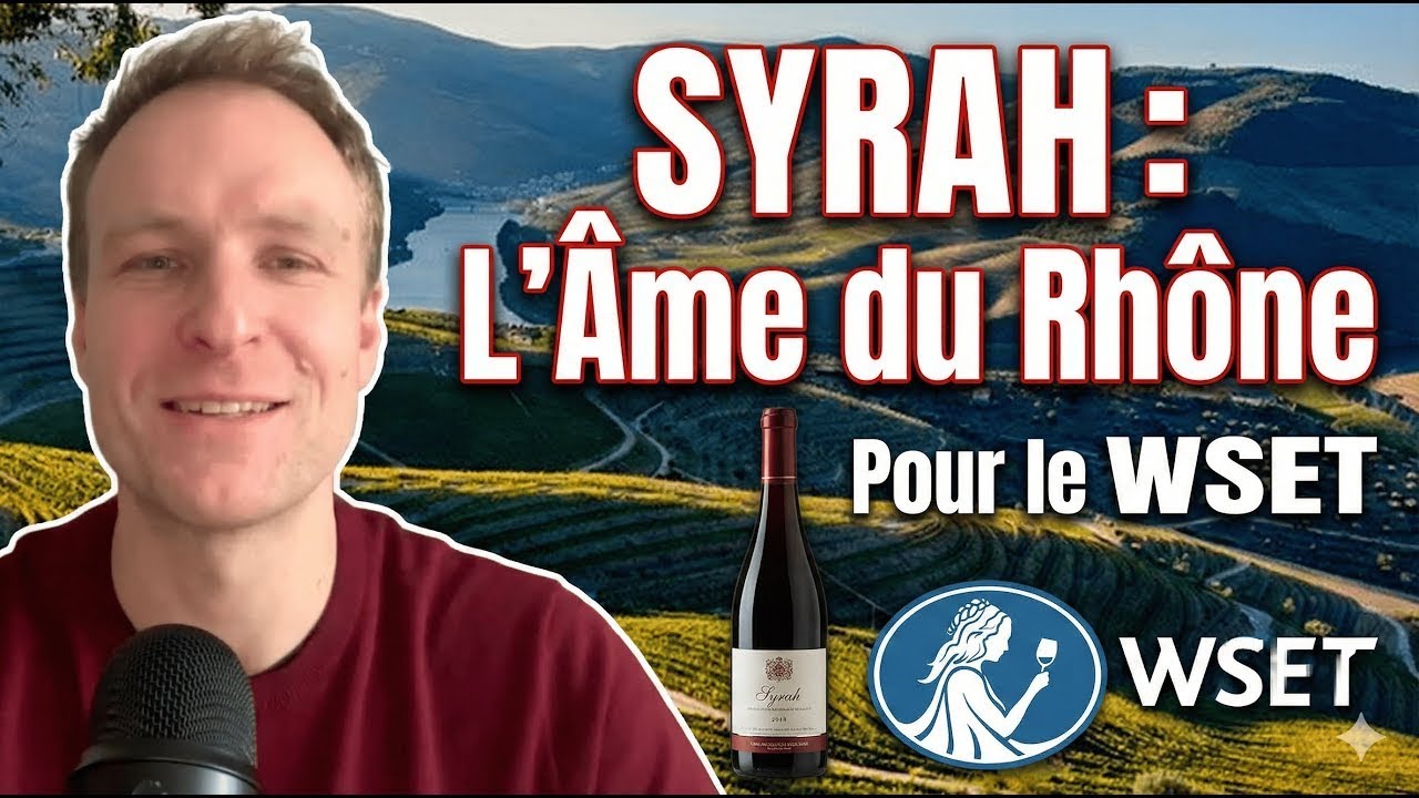 Syrah : poivre et Côte-Rôtie | WSET 2🍷