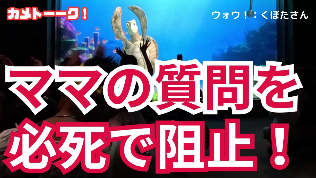 シャー！（威嚇）ママの質問を必死で阻止！w【東京ディズニーシー・タートルトーク】
