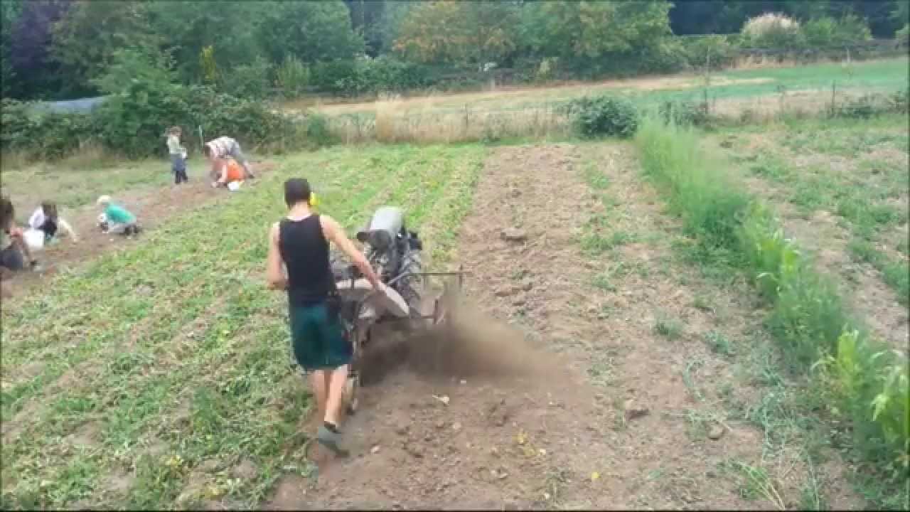 Kartoffeln ernten mit Holder E12 und Agria 2400, 3400, 3600