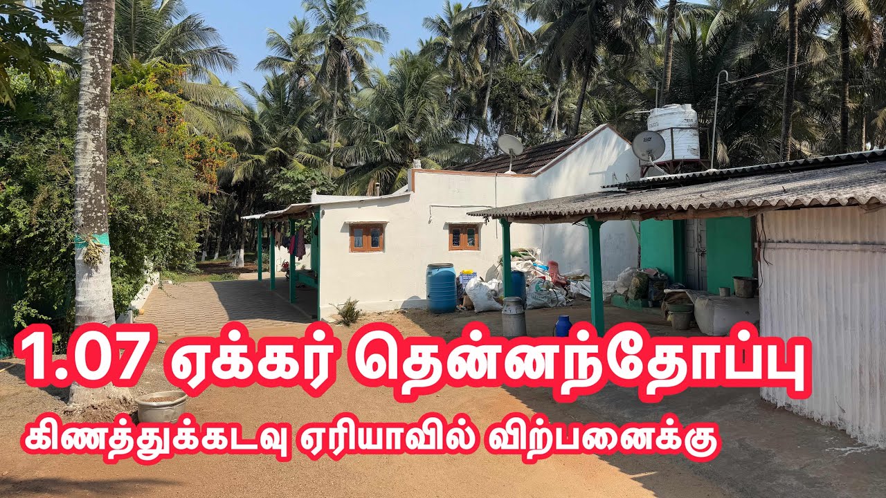 1 ஏக்கர் தென்னனந்தோப்பு அழகான பண்ணை வீட்டுடன் கிணத்துக்கடவு ஏரியாவில் விற்பனைக்கு 