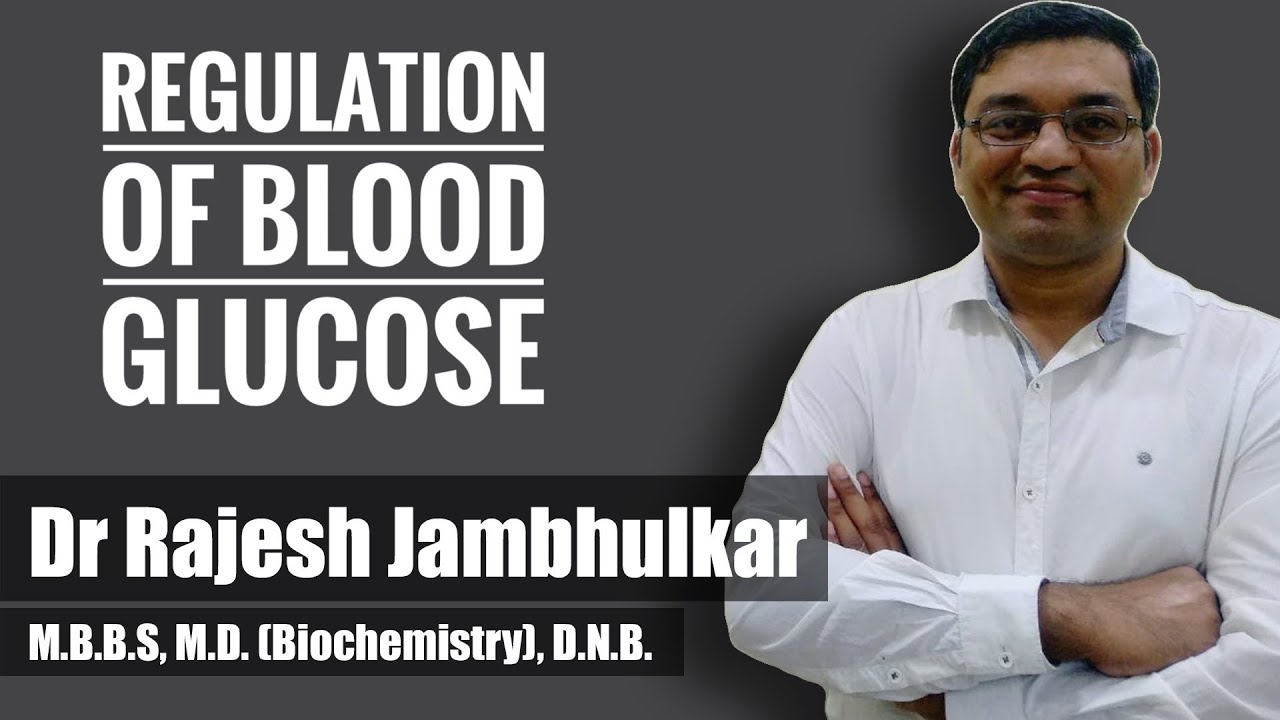 13. Regulation of blood glucose level