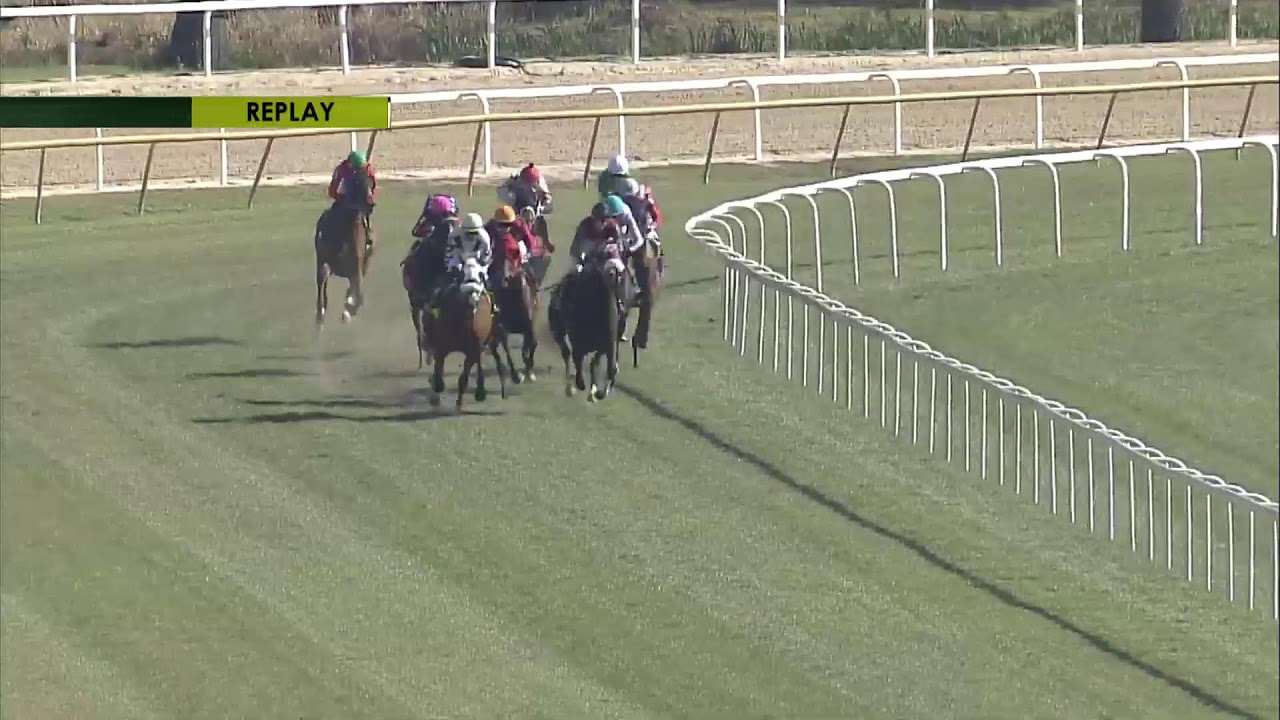 Tampa Bay Downs Live Stream
