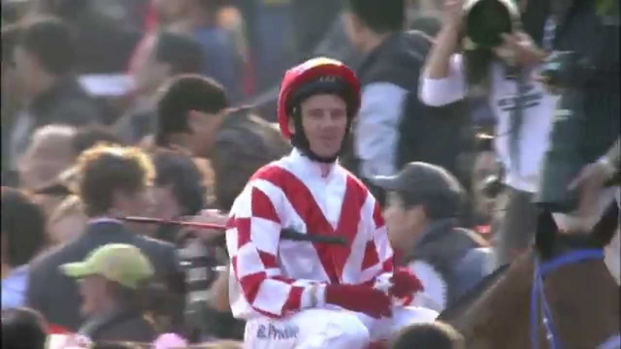 [The Hong Kong Classic Mile 2015] Side Story of Hong Kong Classic Mile