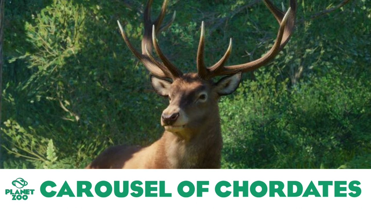Classical: Carousel of Chordates - Planet Zoo Music/Base Game