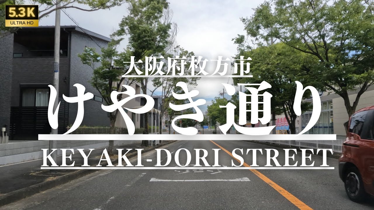 ▶︎けやき通り　大阪府枚方市［愛称道路を5.3Kドライブ］