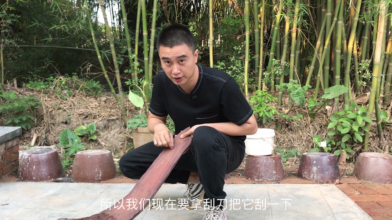 行家辨别黄花梨的方法