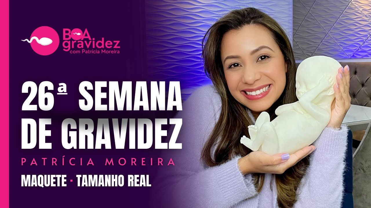 26 SEMANAS DE GRAVIDEZ (Atualizado) Série A Formação Humana | Maquete tamanho real